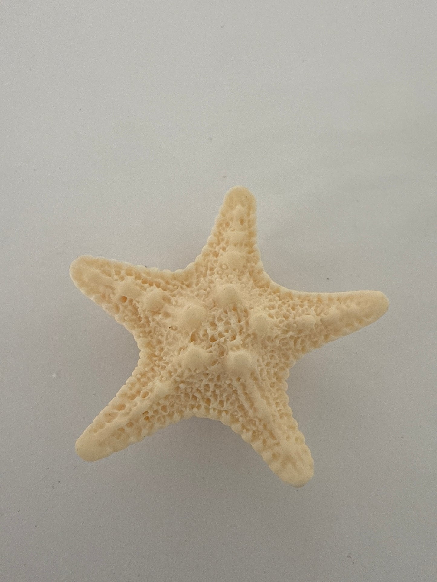 3D Charm -Sea Star