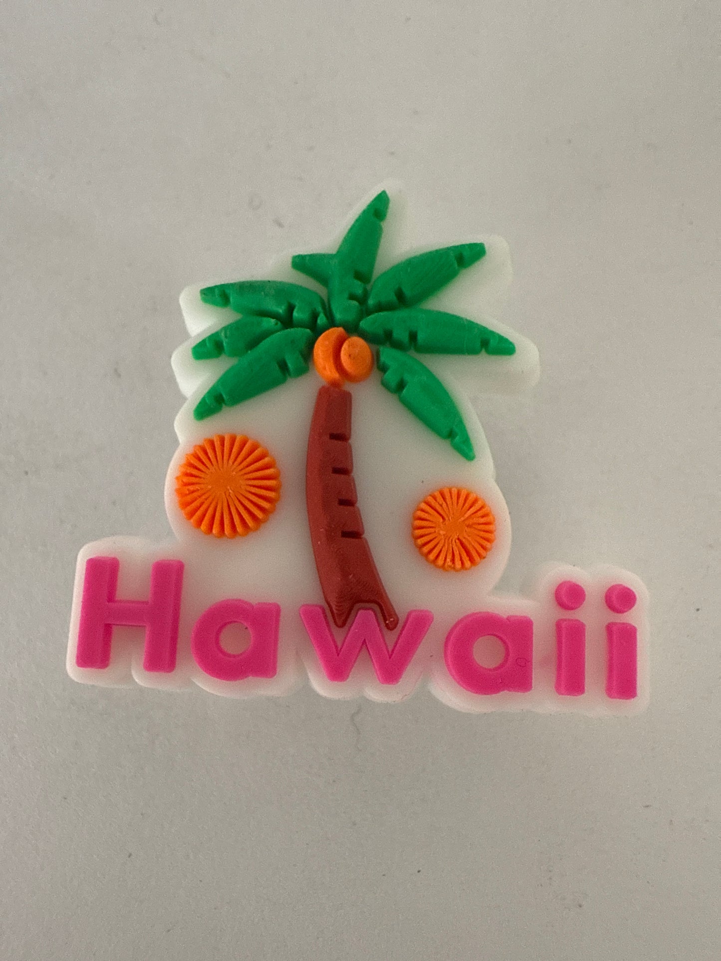Hawaii logo