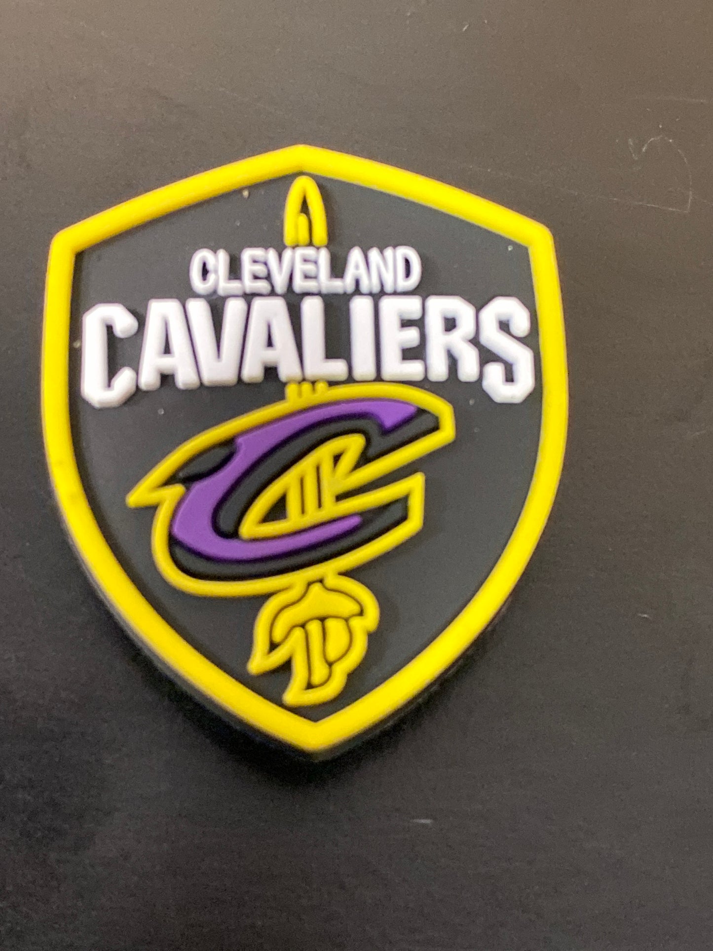 BASKET/CCAVALIERS/OHIO