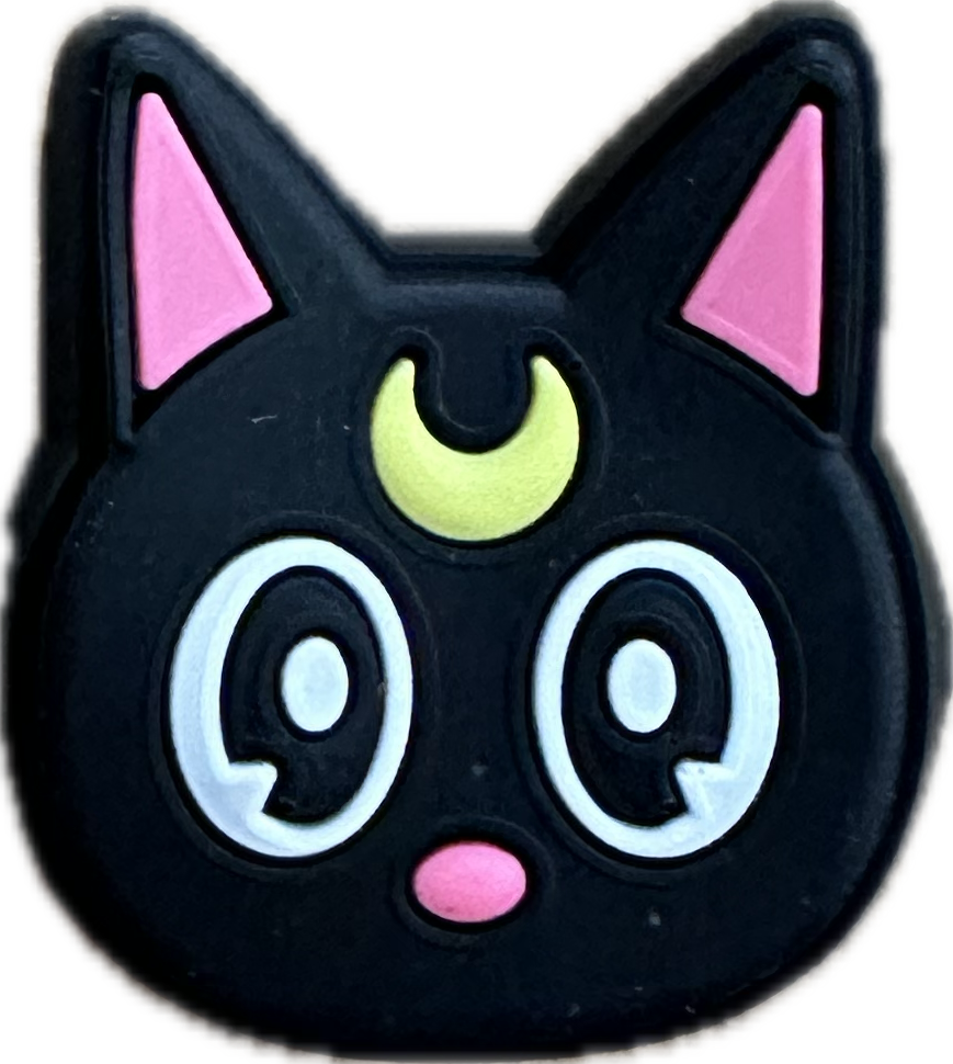 Universal_Pin Anime Sailor_Moon Black-Pink