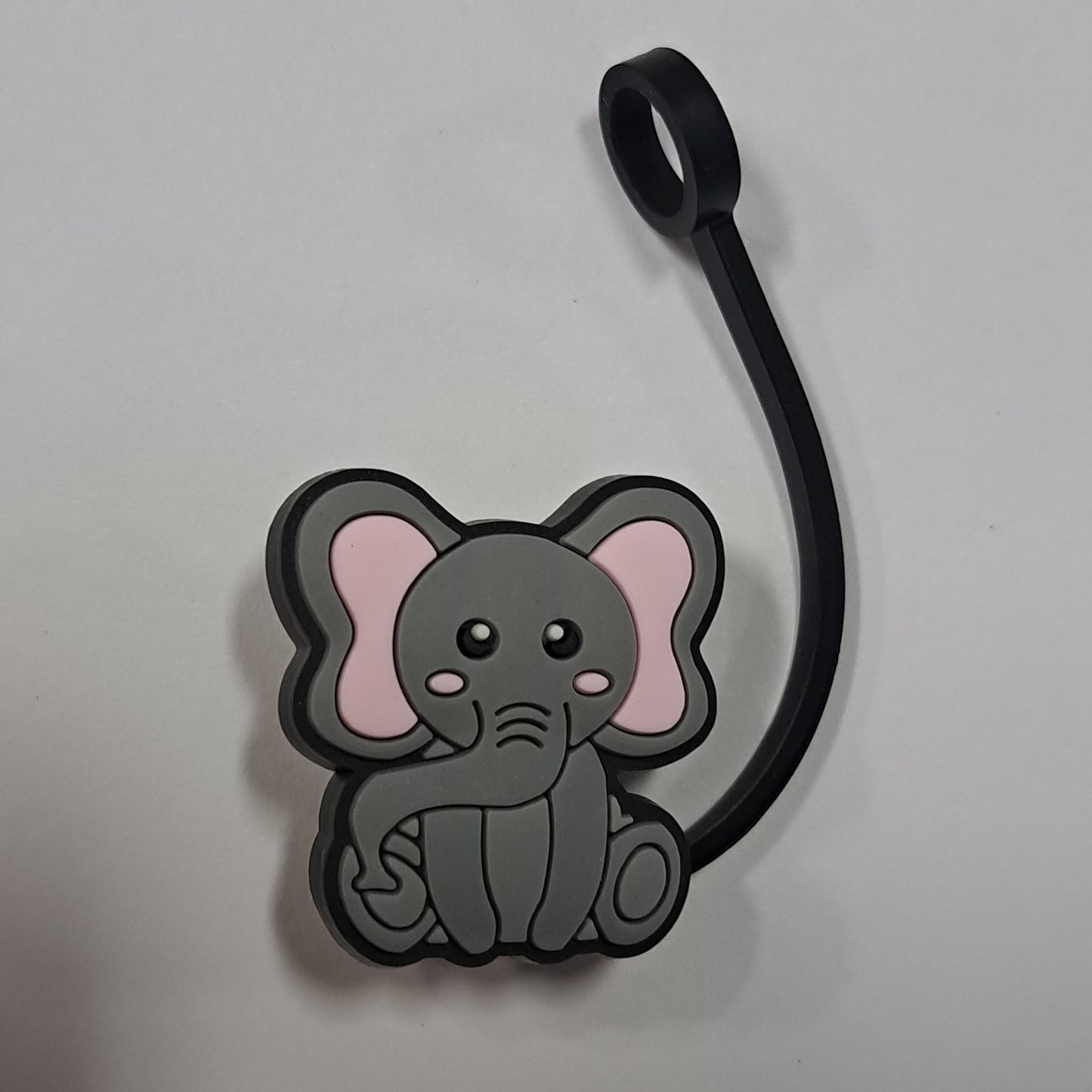Sc Elephant 1