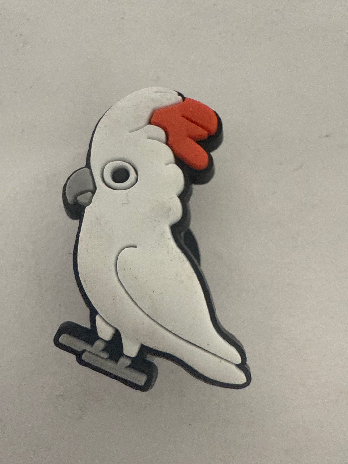 Animal-Parrot 4