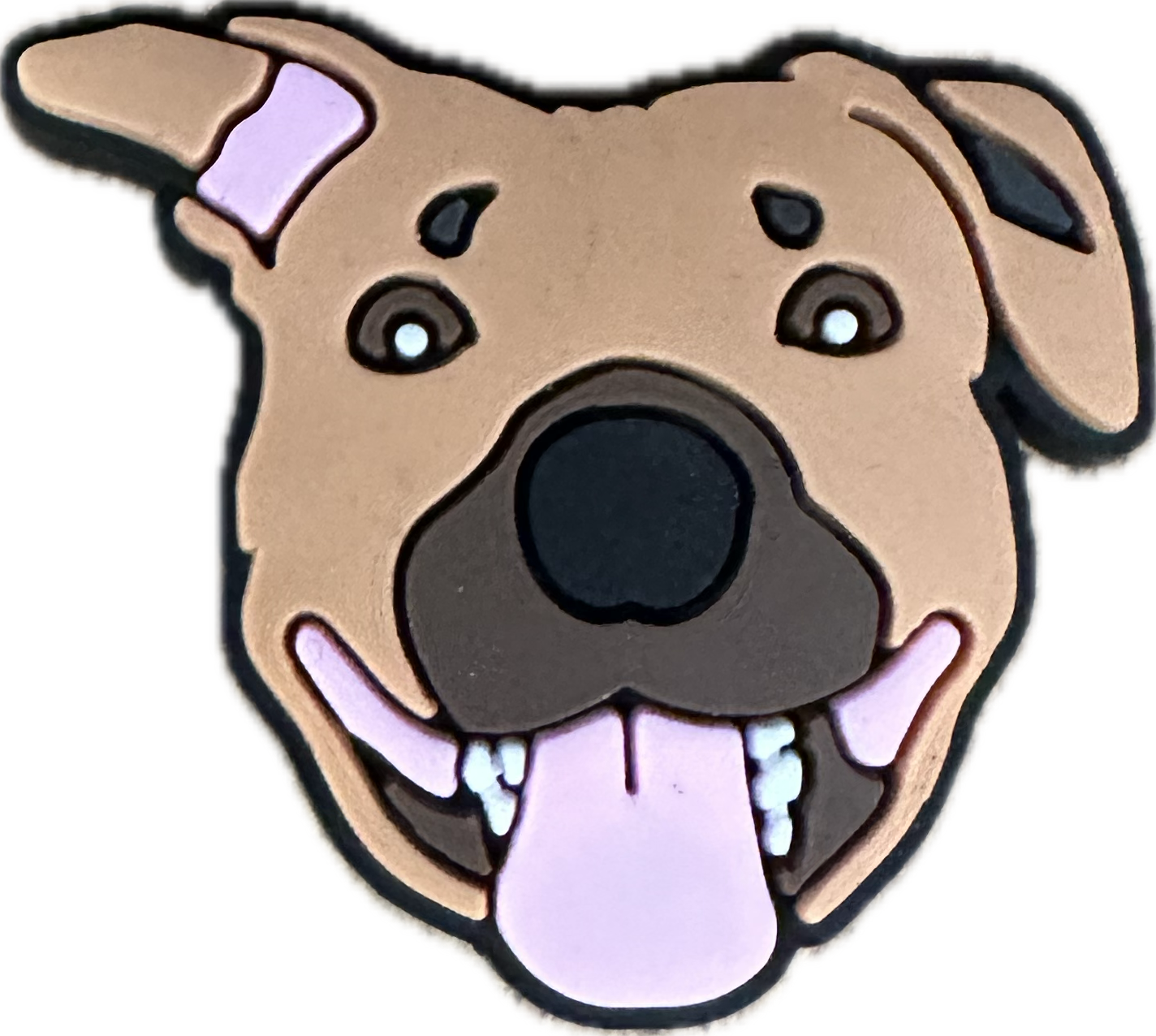 ANIMAL/DOG PIT BULL 001