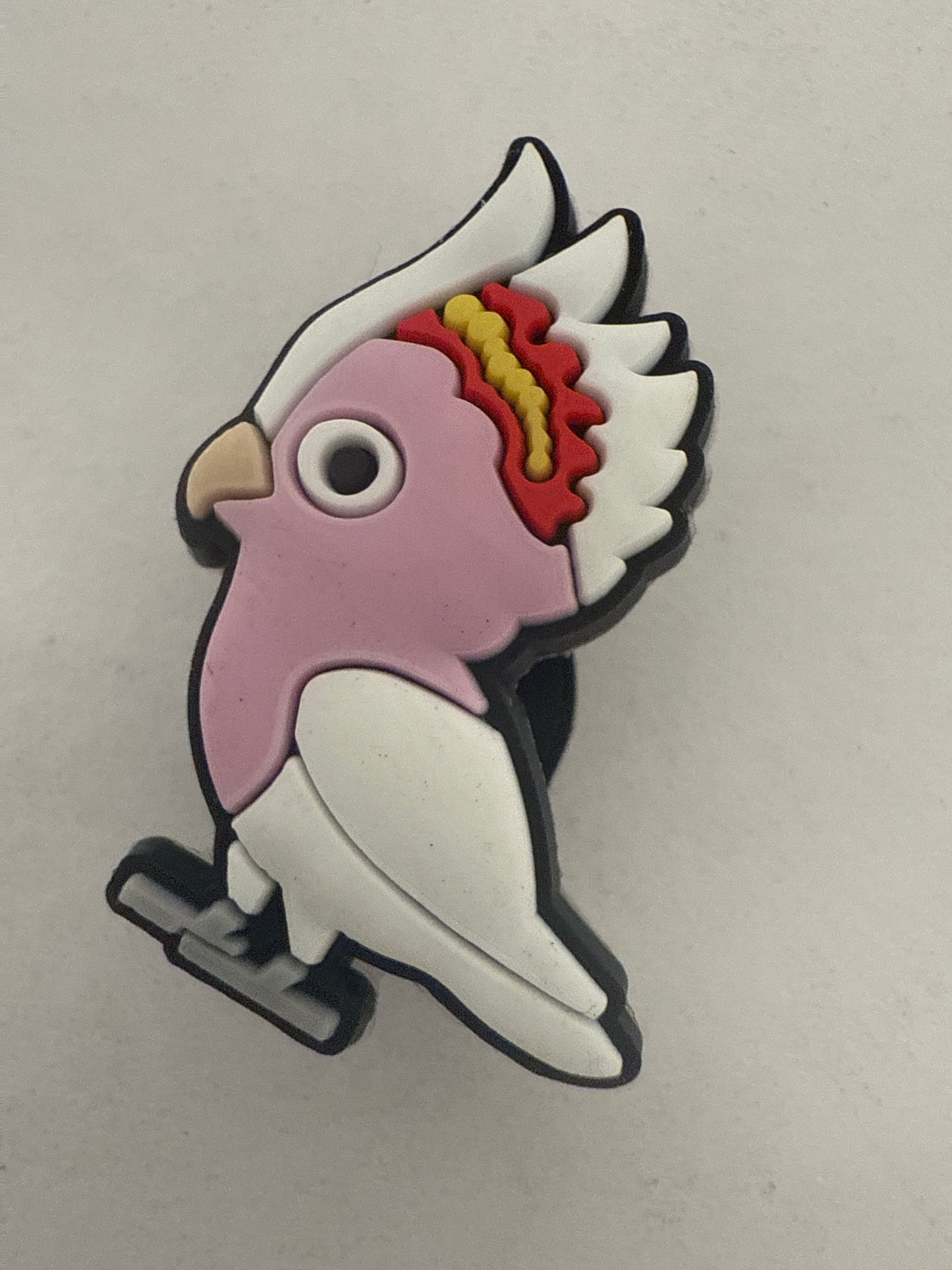 Animal-Parrot 2