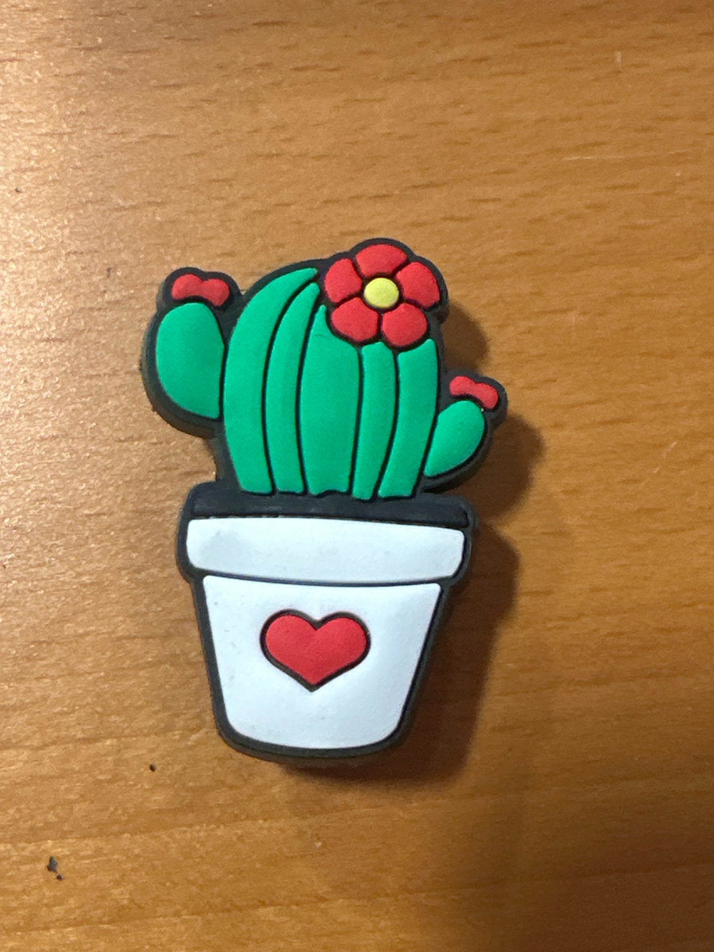 Cactus with white pot shoe charm