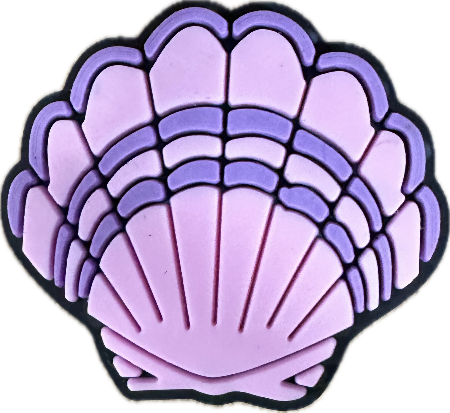 SEA SHELL 001