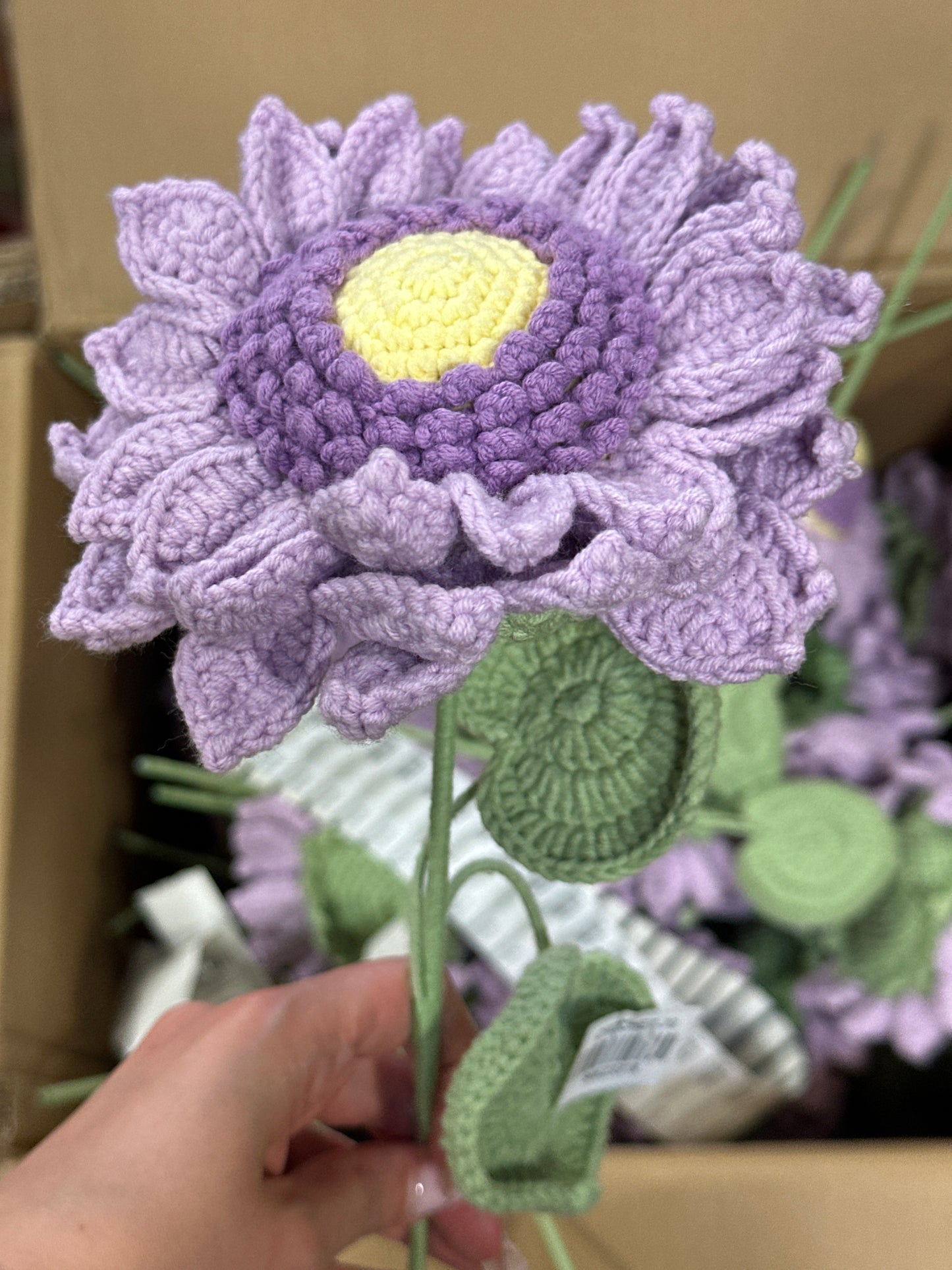 Single Flower Purple