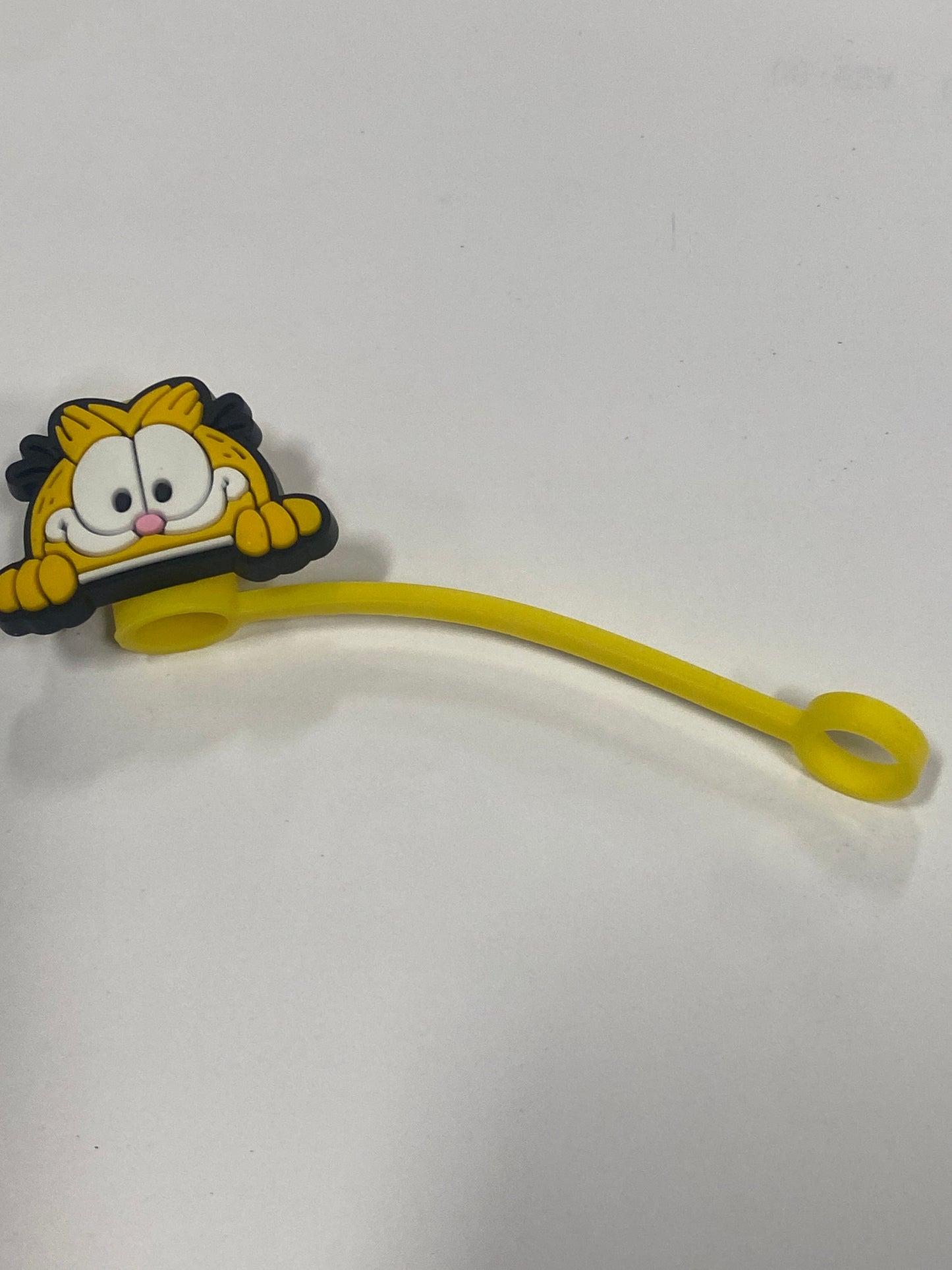 Sc Garfield 1