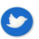TWITTER LOGO
