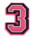 PINK NUMBER 3