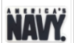 AMERICA'S NAVY