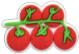 TOMATO 001