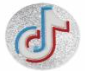 Tiktok Logo - Silver
