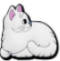 Sc Cat 1-Animal