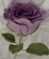Nancy Rose Datai Rose Flower Tai Rose Purple