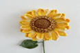 Double sunflower BROOK's UJ-SF004