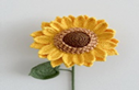 Double sunflower BROOK's UJ-SF005