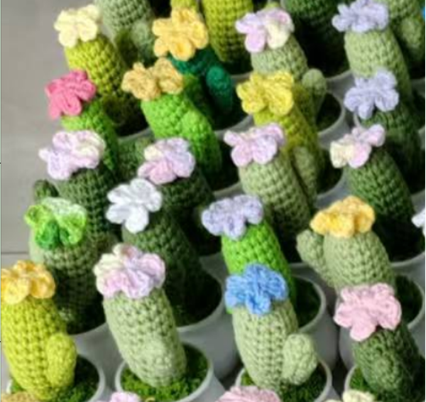 Long Cactus Flower Pot
