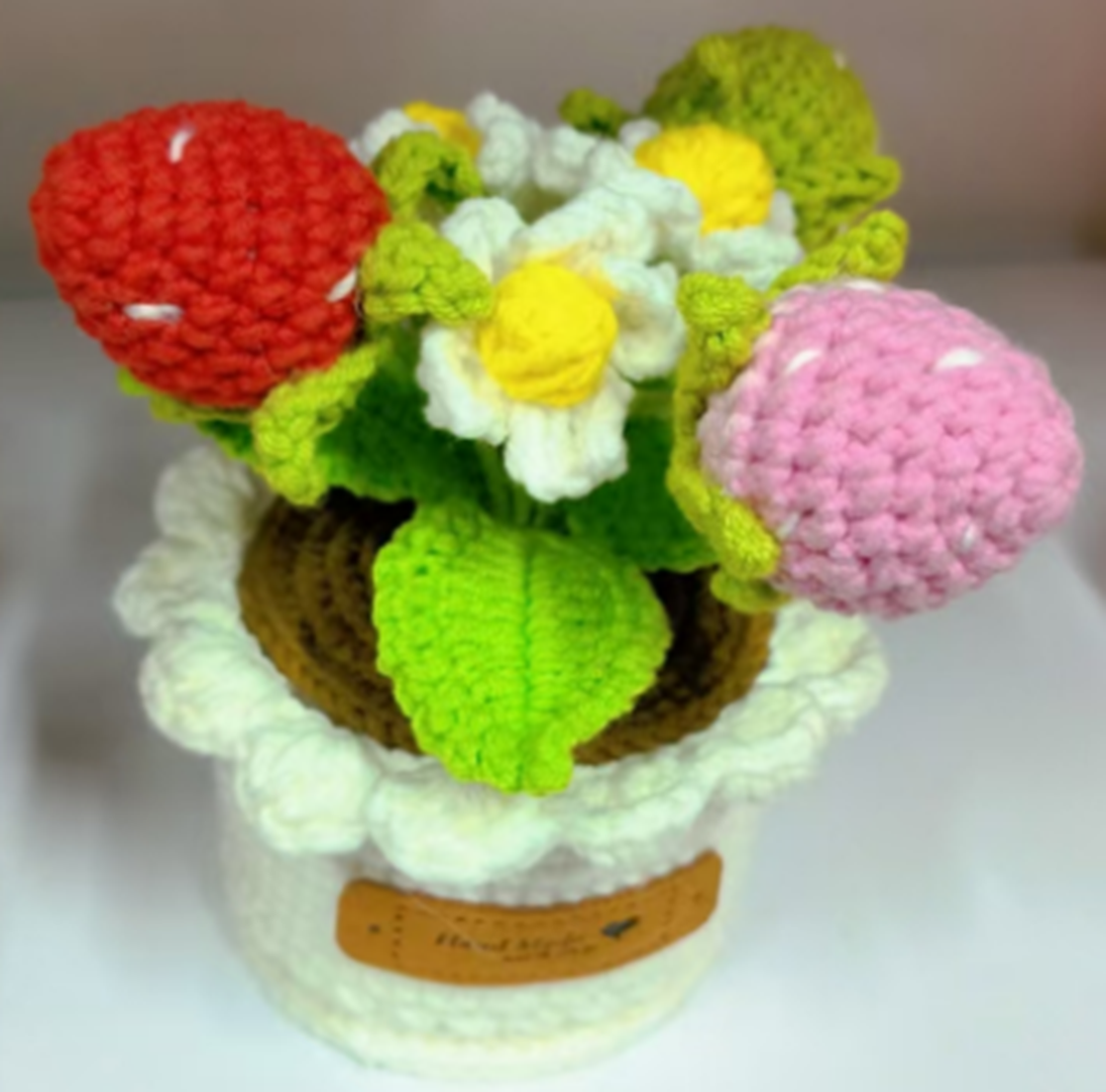 Strawberry Daisy Flower Pot