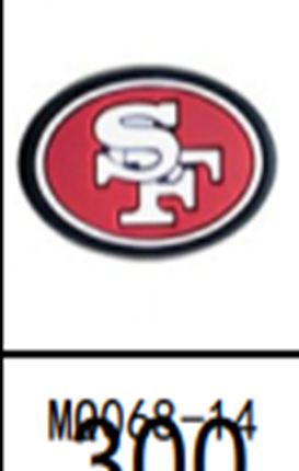 NFL San Francisco 49ers Shoe Charm