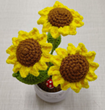 Flower POTTED4