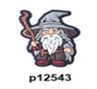 p12543-Lord Of the Ring