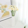John flower 3-26 White color