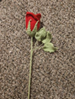 John flower 3-34