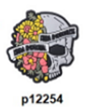 p12254-Skull