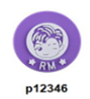 p12346-BTS Singer