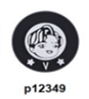 p12349-BTS Singer