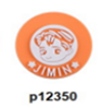 p12350-BTS Singer
