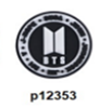 p12353-BTS Singer