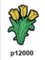 p12000-Flower