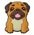 Sc Dog5-Animal