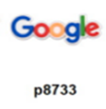 p8733-Google Logo