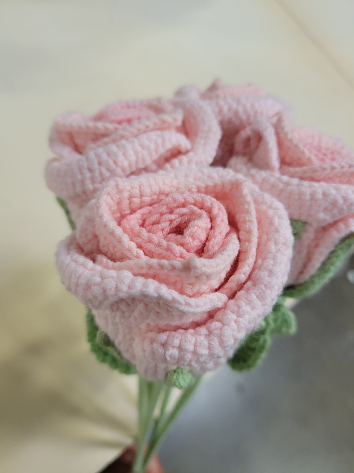 nancy rose light pink 1