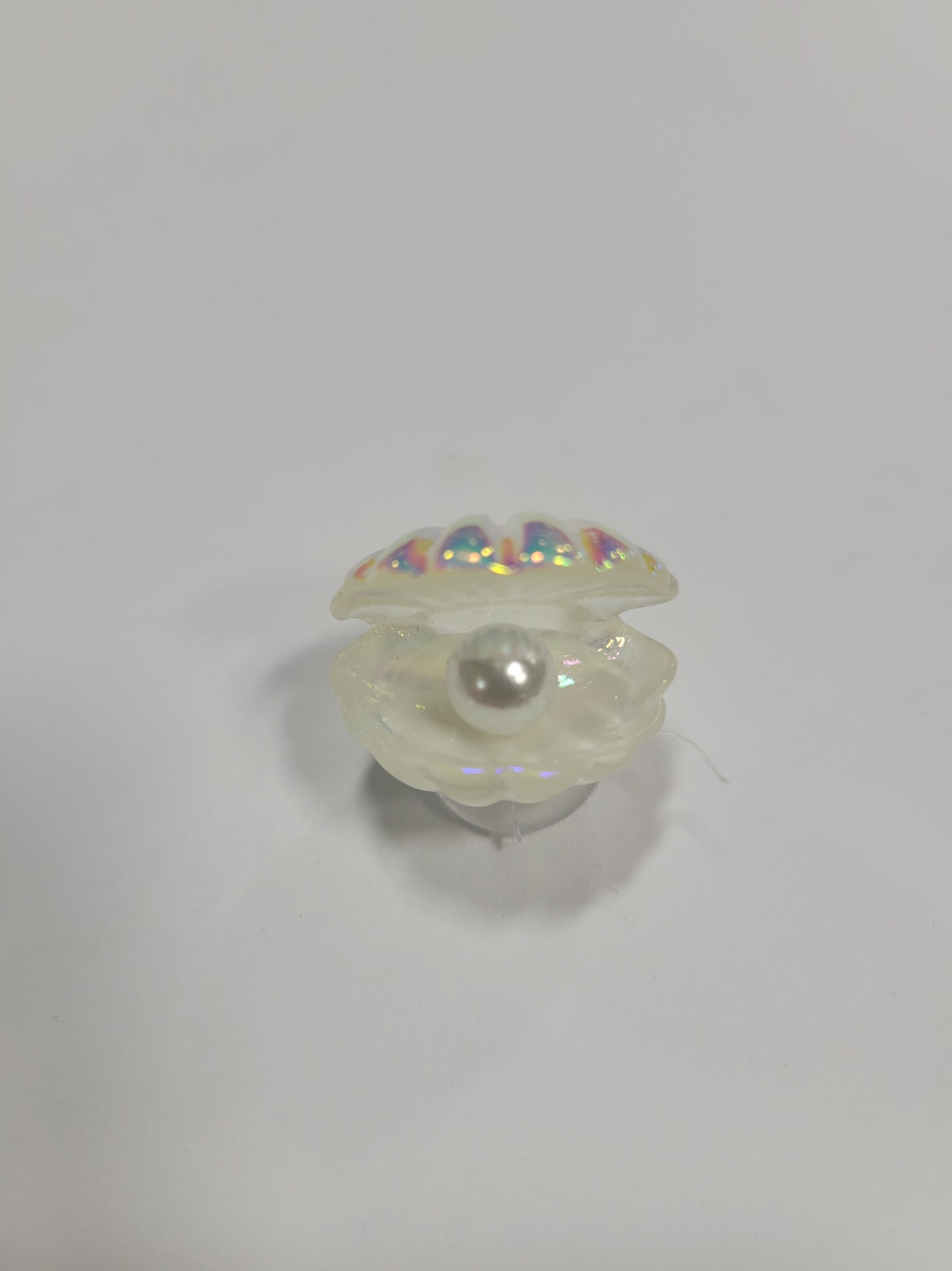 Pearl Oyster