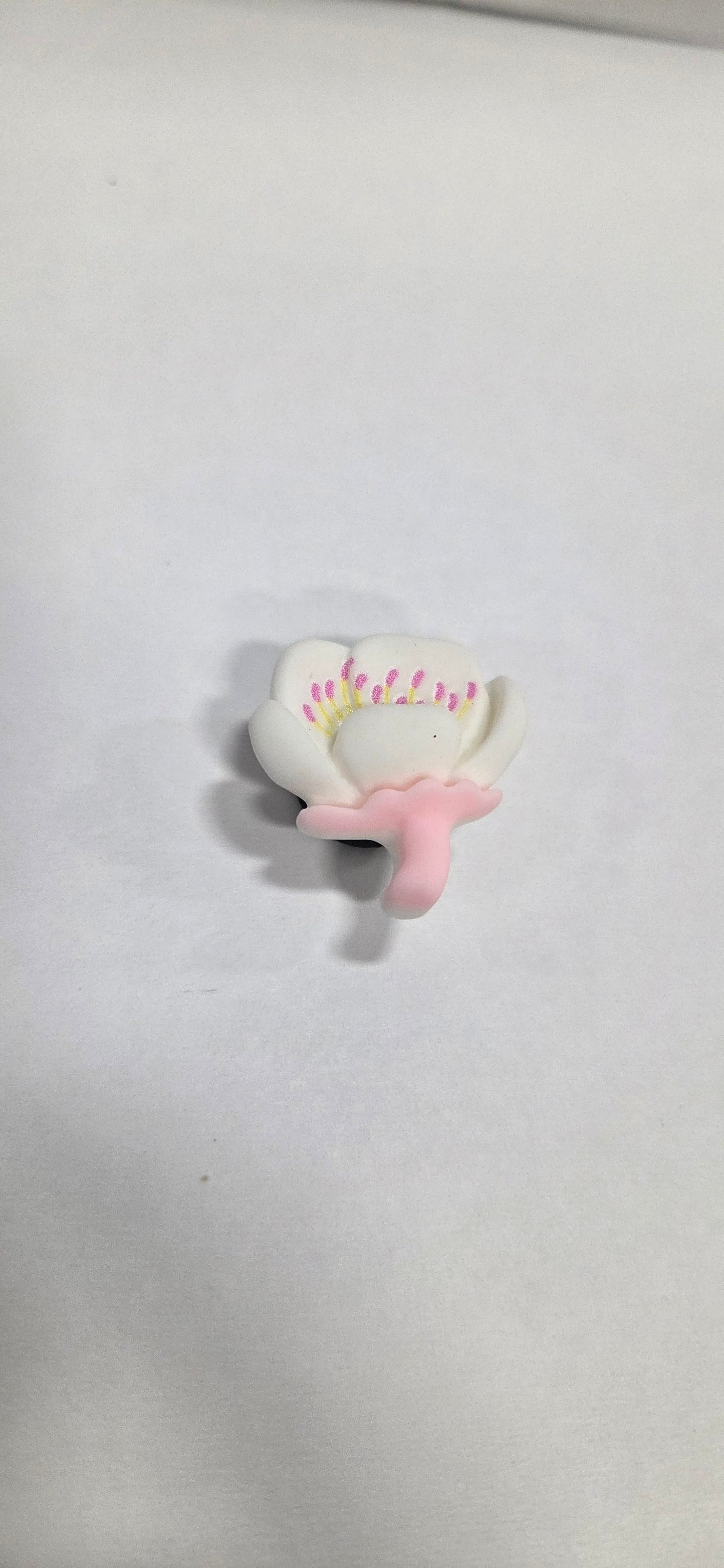 White Lotus Flower