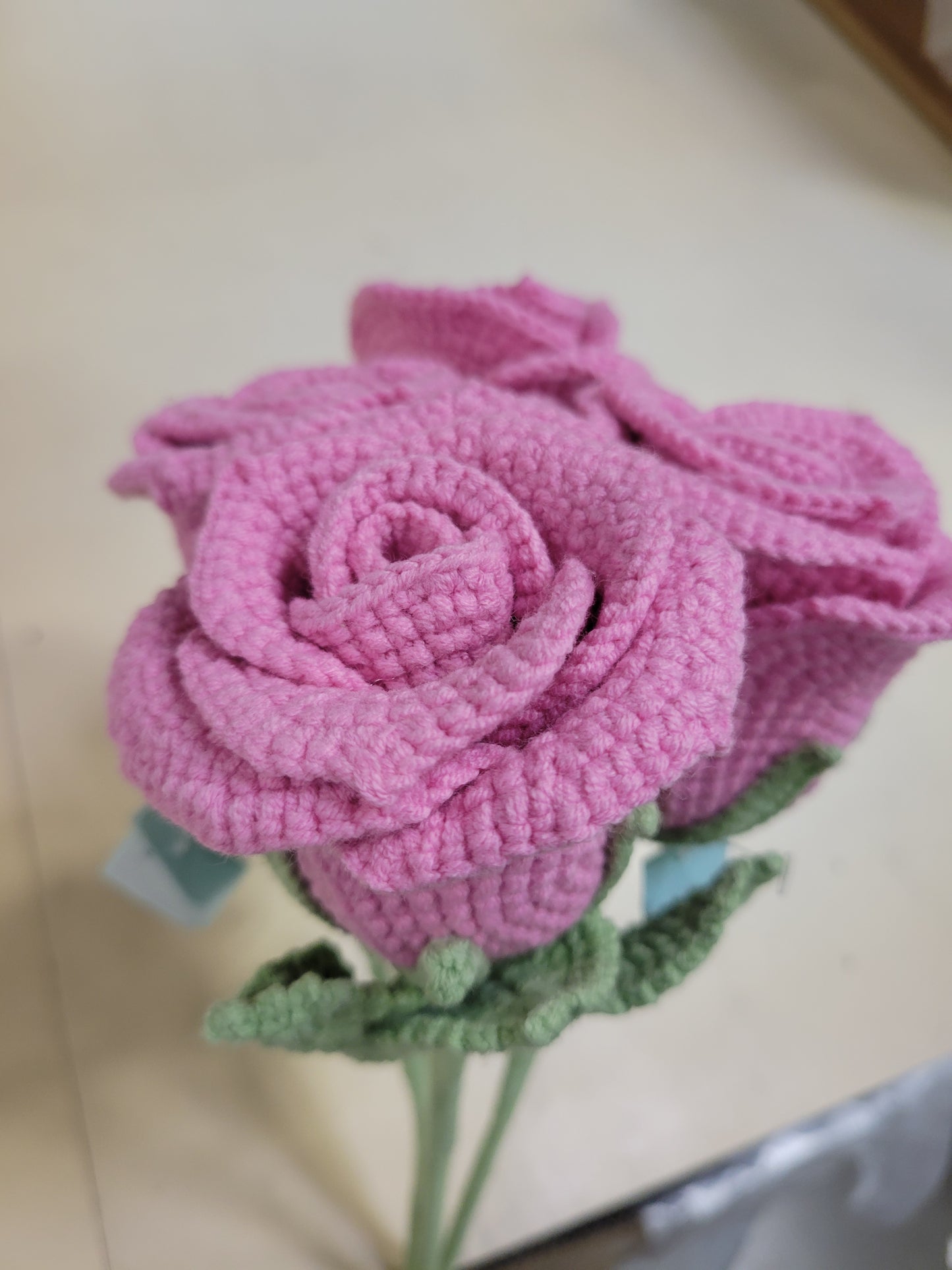 Nancy rose pink