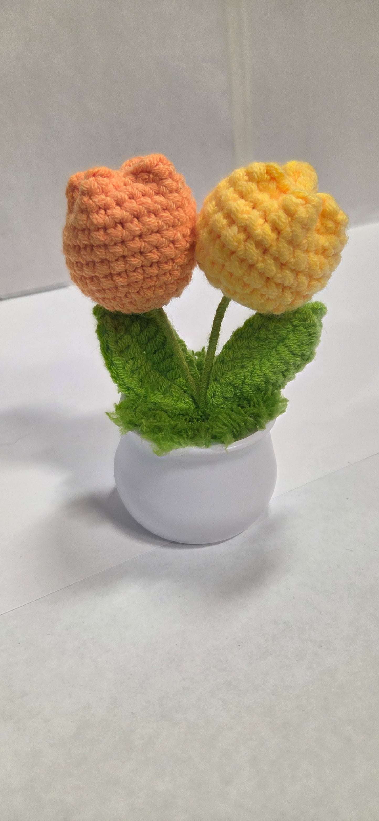 Crochet Tulip Flower Pots