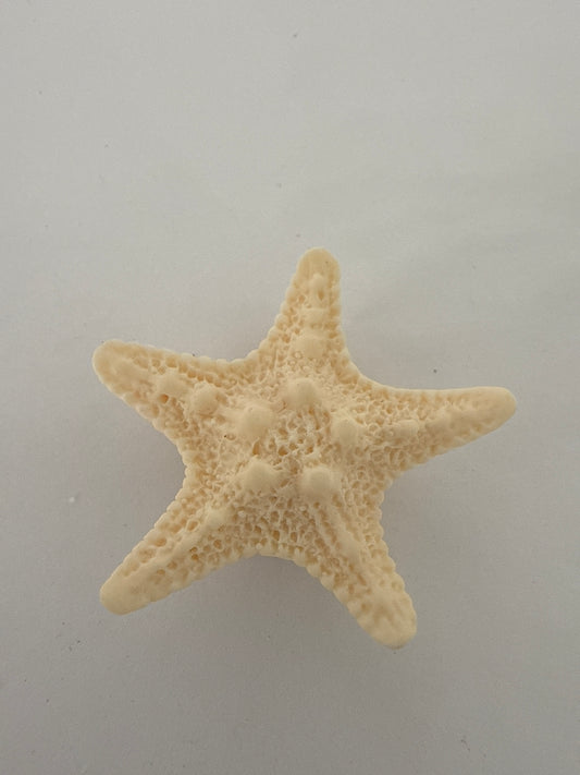 3D Charm -Sea Star