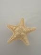 3D Charm -Sea Star