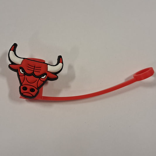 Sc Chicago Bulls 1