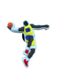 BASKETBALL/JAMES