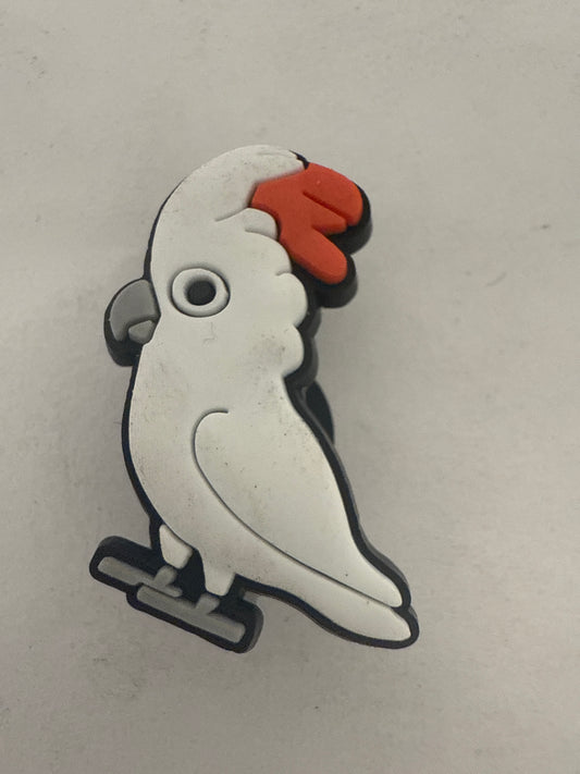 Animal-Parrot 4