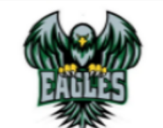 Philadelphia Football Eagles Logo Shoe Charm