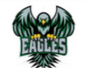 Philadelphia Football Eagles Logo Shoe Charm