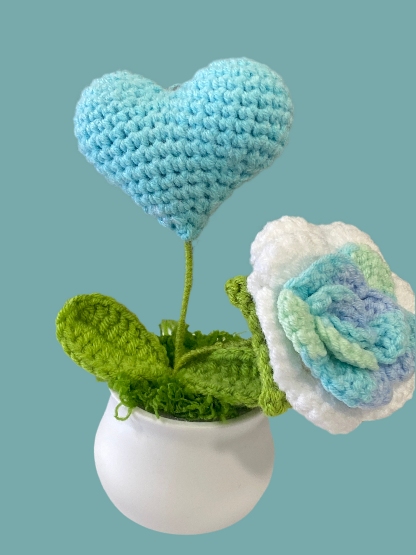 Flower POTTED9