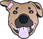 ANIMAL/DOG PIT BULL 001